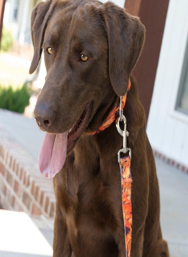 كانتري بروك ديزاين طوق مارتينجال عريض للكلاب من كونتري بروك بيتز - هوسفيت جونيور - مجموعة التمويه التي تتميز بتصاميم متينة (تمويه غروب الشمس البرتقالي، كبير) - Image 2